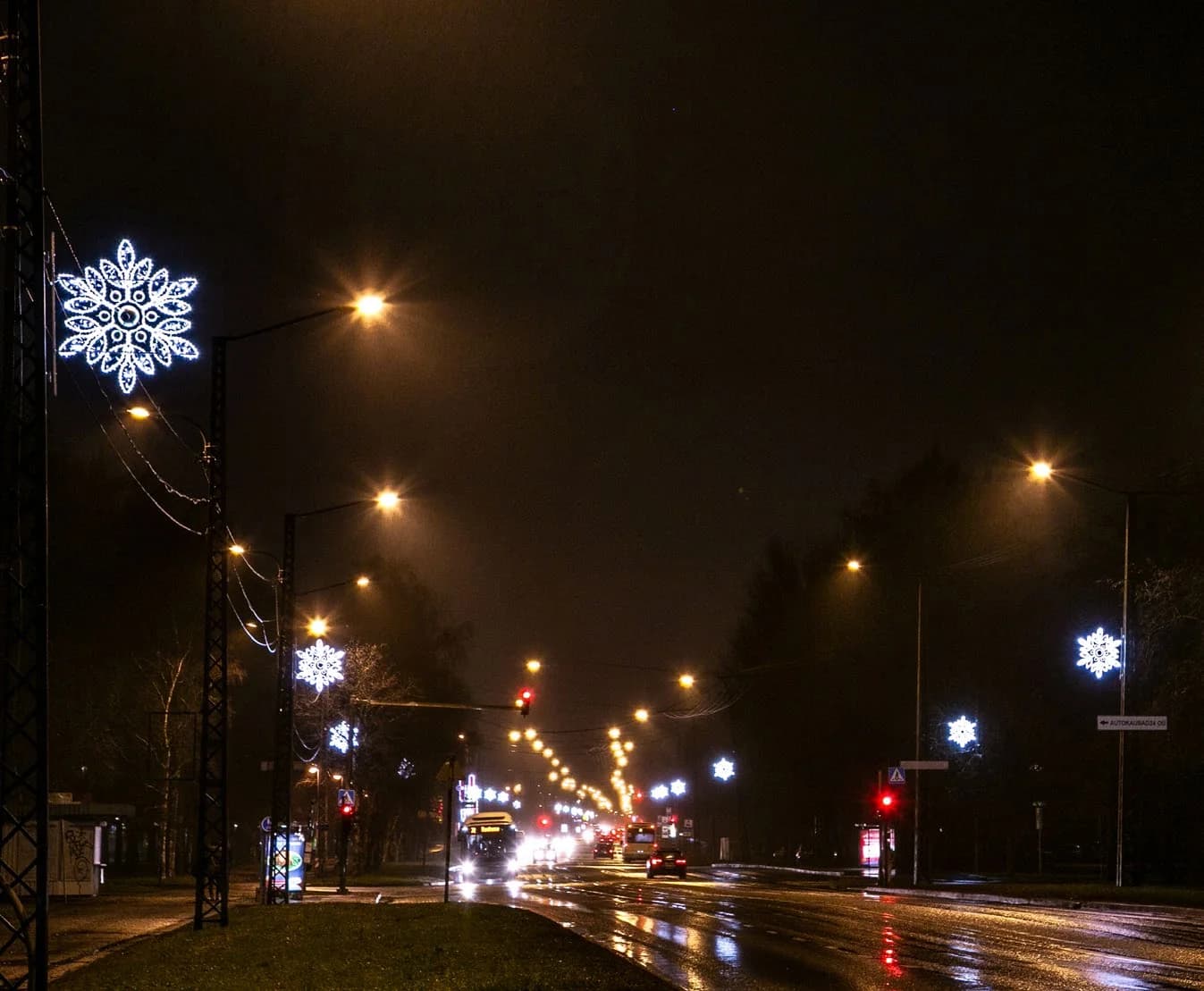 Işıklı Kar Tanesi Asteria 131/132 - dış mekan LED ışık süsleme uygulaması