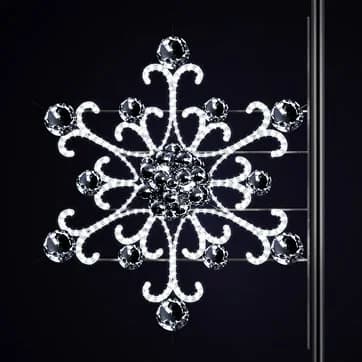 Işıklı Yıldız-Kar Tanesi Camilia/Carol 36639.01S