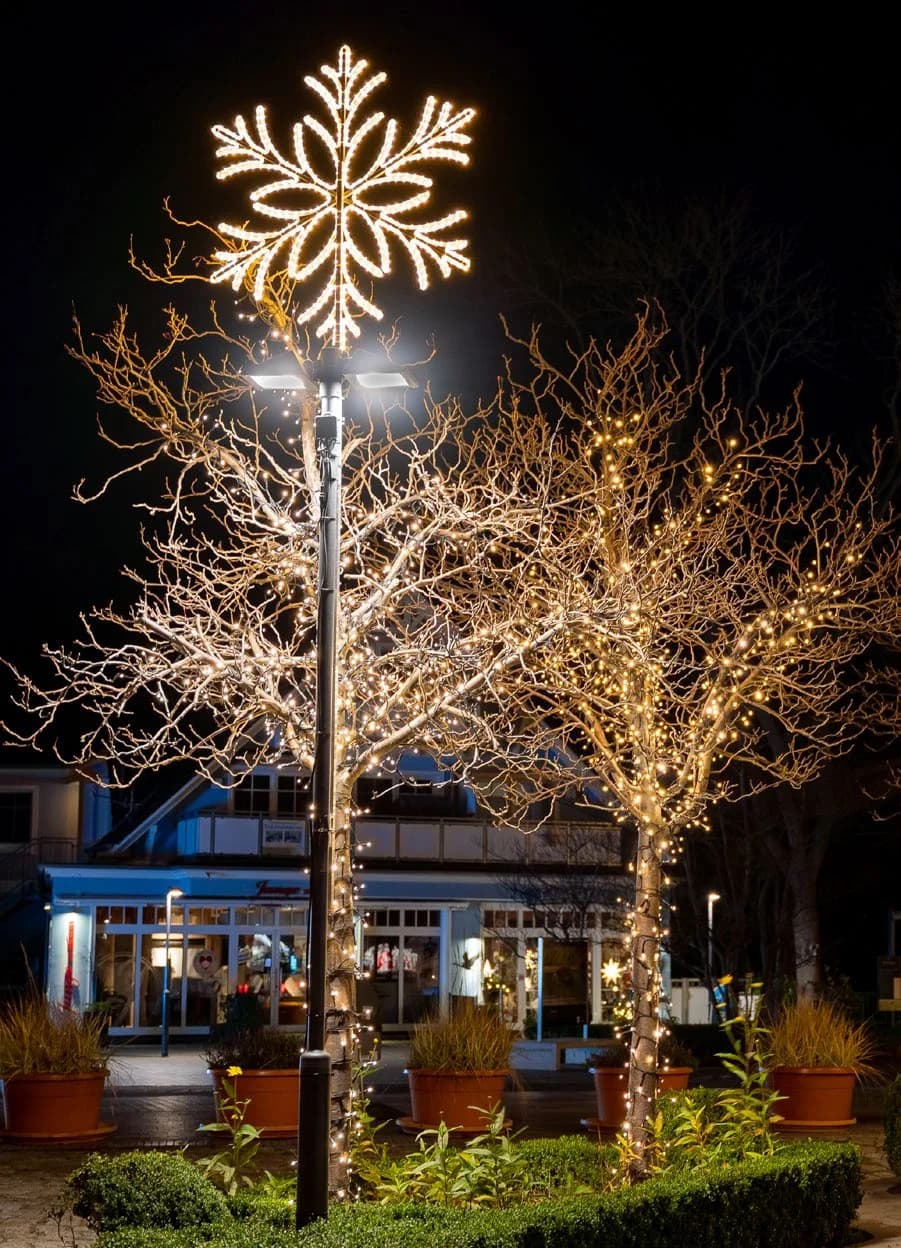 Işıklı Kar Tanesi Nicky 125/85 35093.02