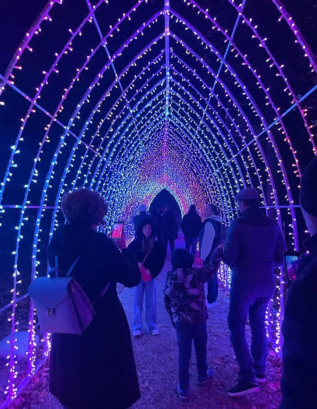 Alexander Işık Kemeri 350 - LED ışık heykeli uygulaması