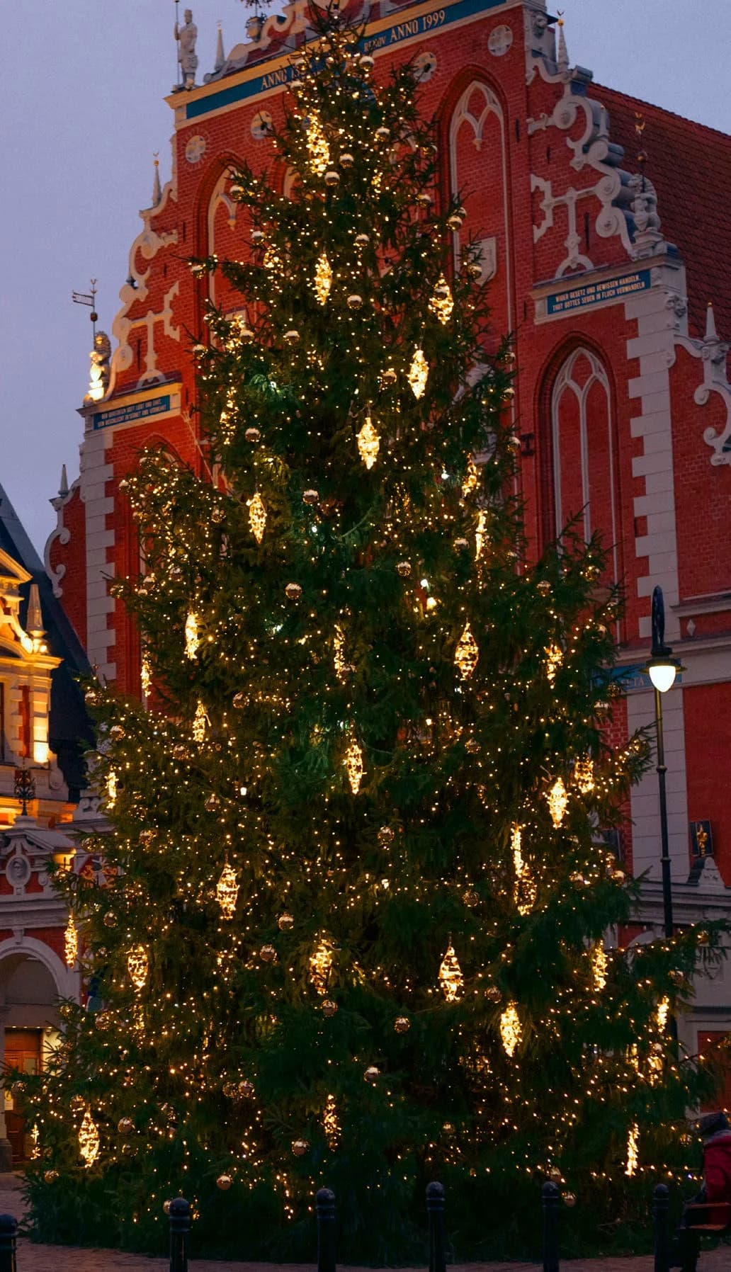 Işıklı Top ve Damla Ağaç Süsü Cedar 60 / Claude 80 / Icicle 100 / Monet 80 - dış mekan LED ışık süsleme uygulaması