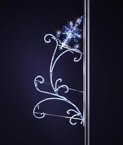 Amaryllis Sander Kuyruklu Yıldız 36109.11
