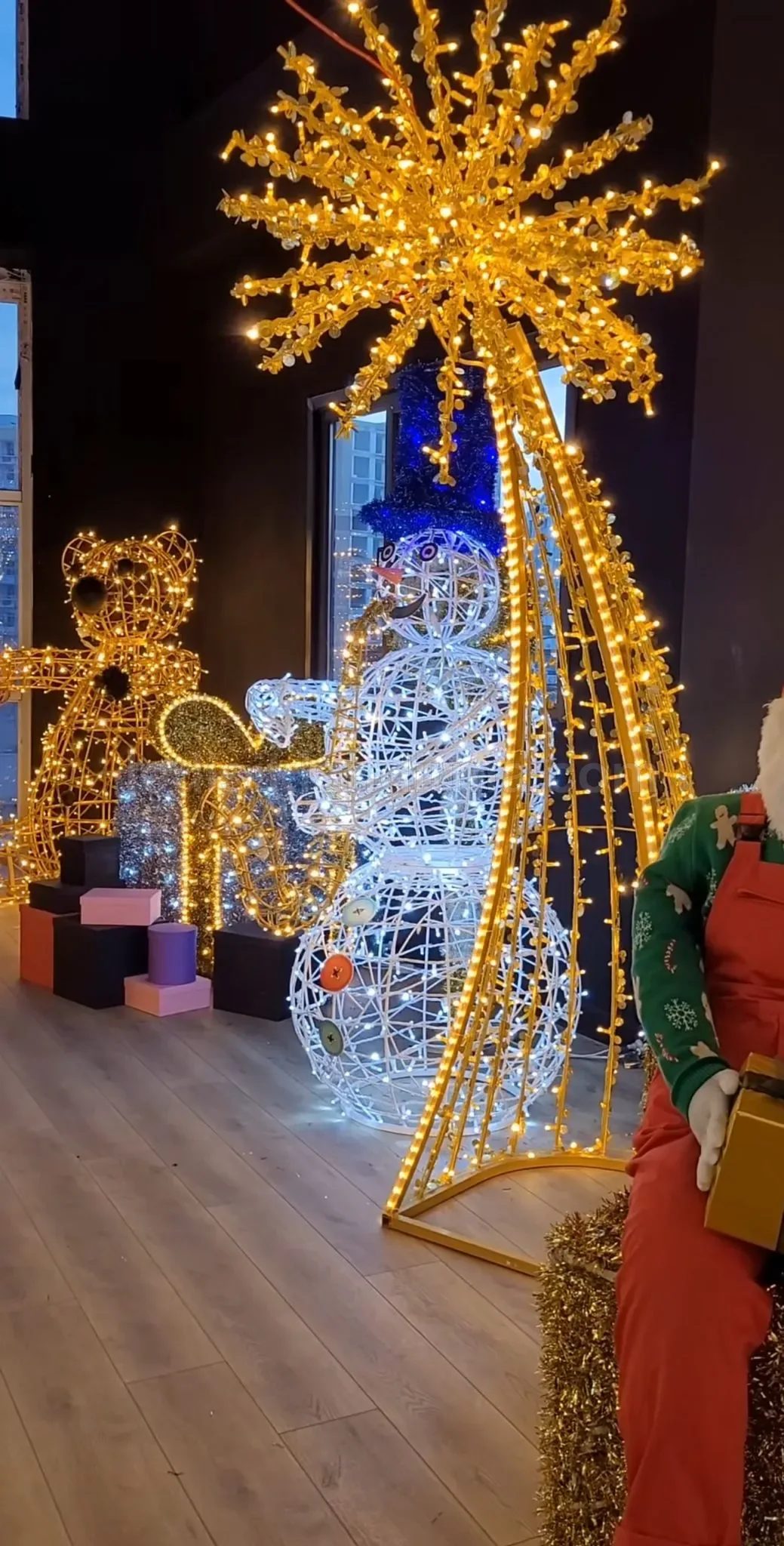 Illuminated Teddy Bear