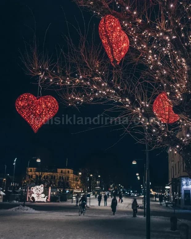 Edirne Belediyesi ışık süsleme projesi