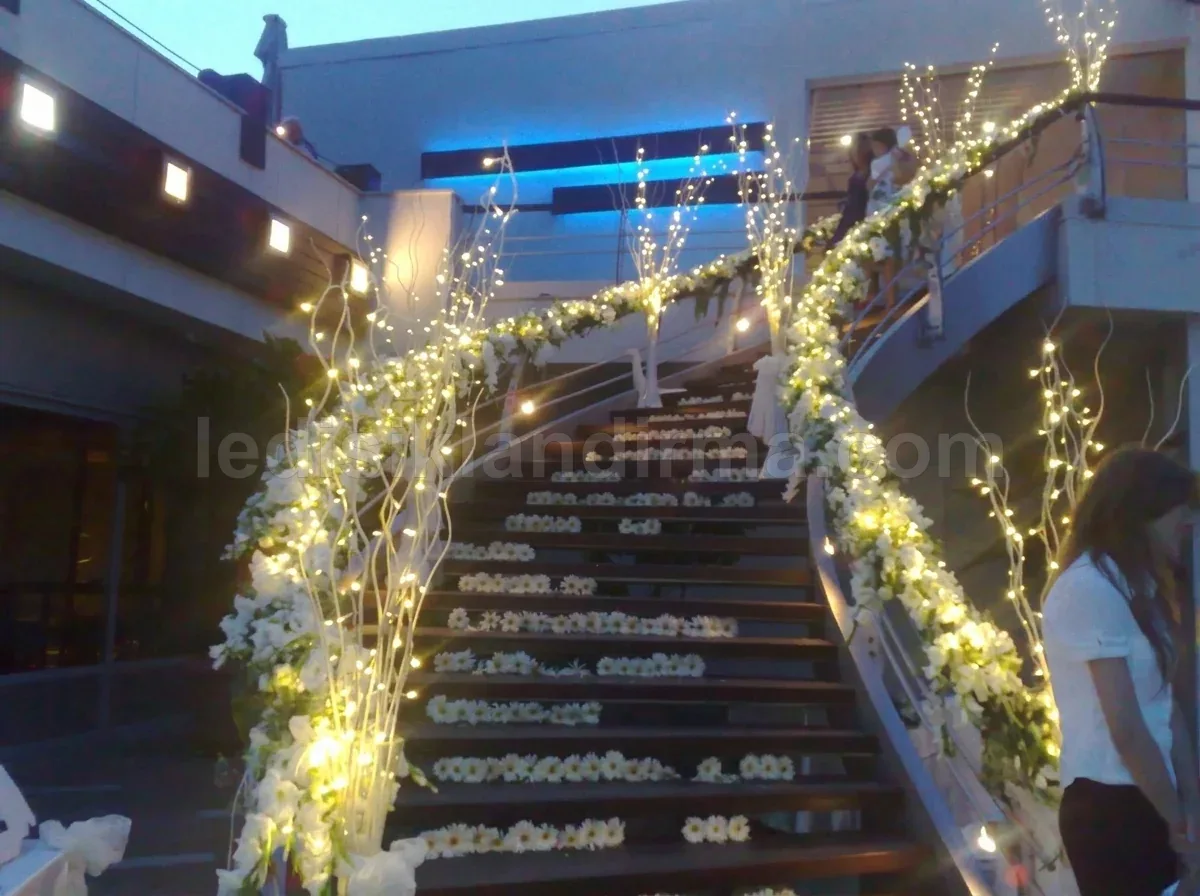 Ağrı cadde yılbaşı LED aydınlatma